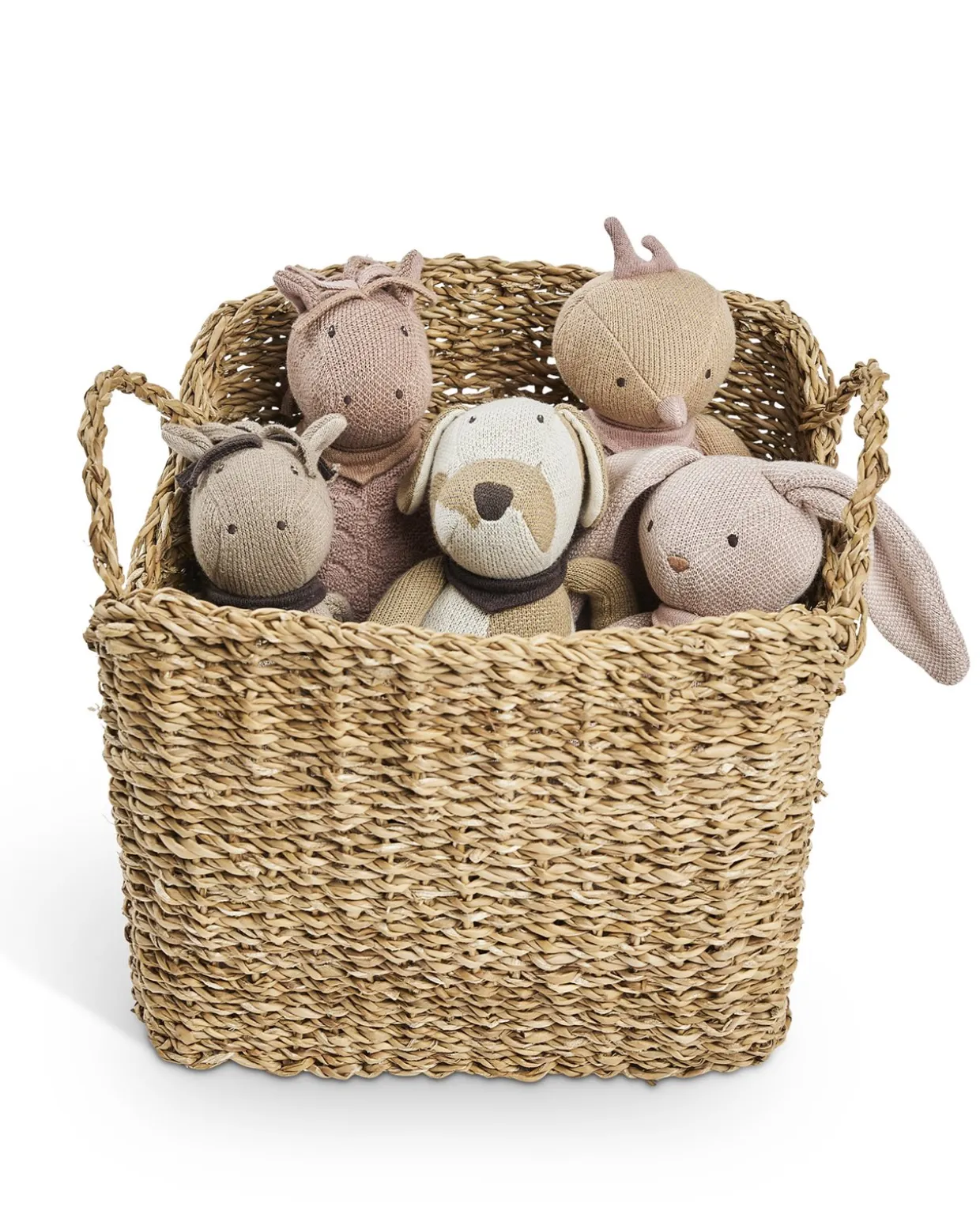 Activity toy, bird, rose curry