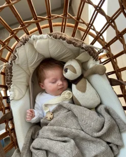 Aktivitetsdyr, hund, natur